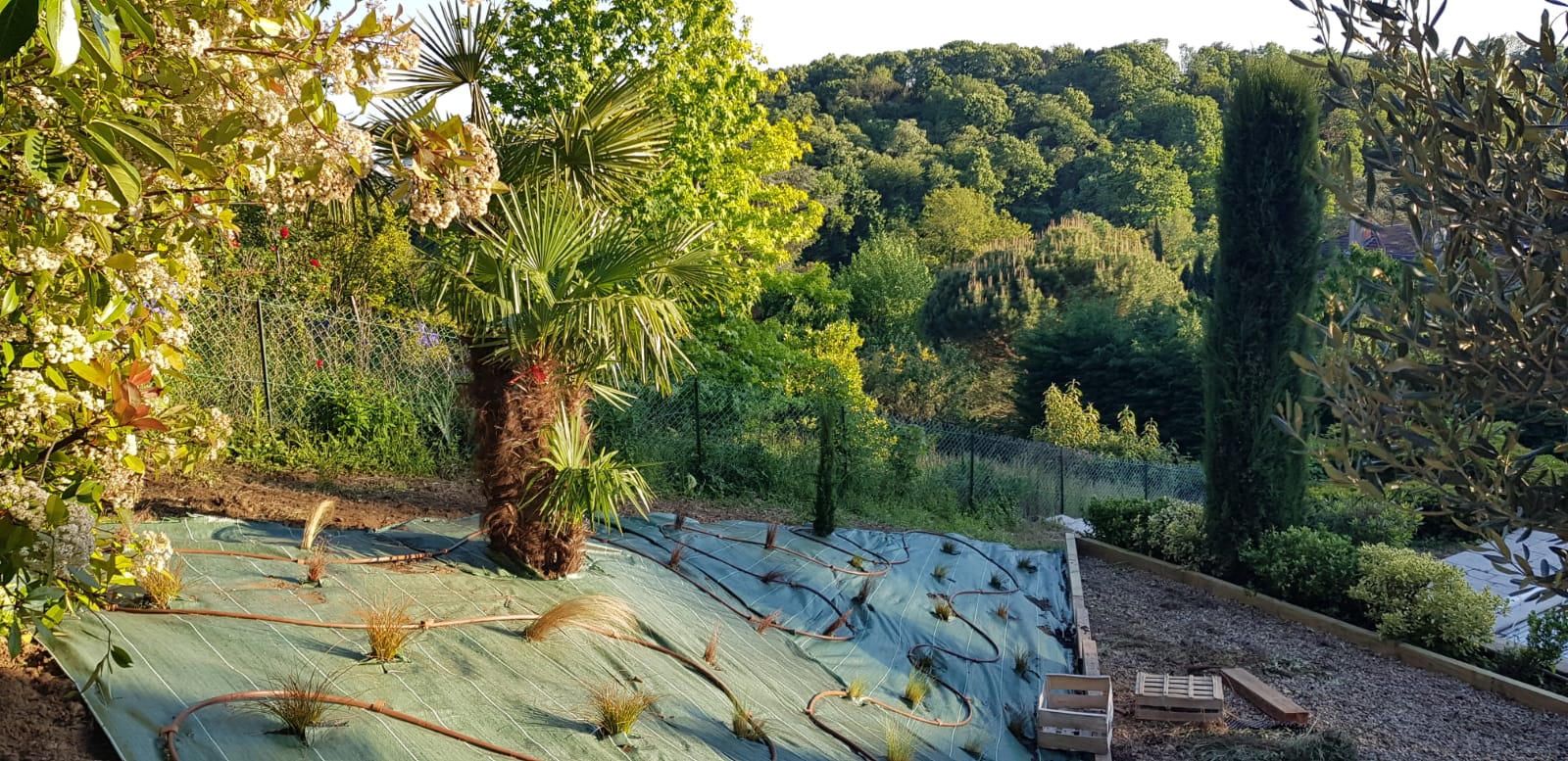 Elagueur paysagiste 69 : L'Art Des Jardins dans le Rhône